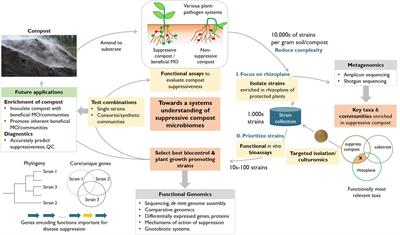 Harnessing the Microbiomes of Suppressive Composts for Plant Protection: From Metagenomes to Beneficial Microorganisms and Reliable Diagnostics